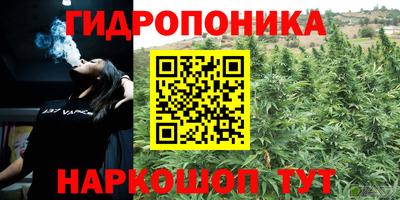 шишки Бийск