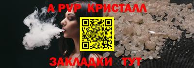 шишки Бийск